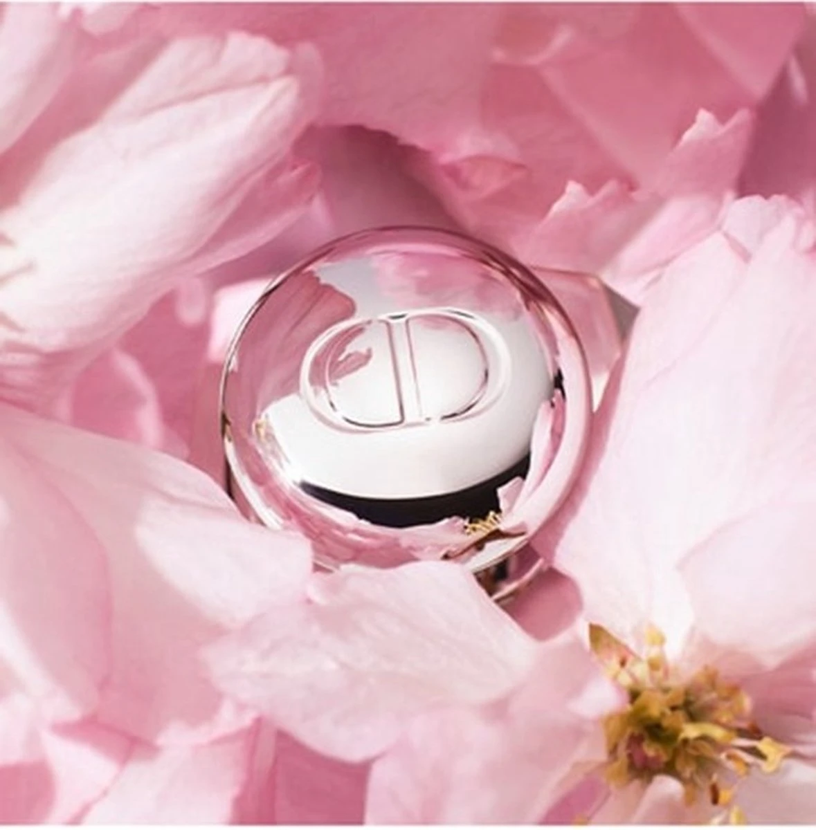 DIOR ADDICT LIP MAXIMIZER - Vollermakende Gloss - 006 BERRY - 6 ML - 24 Uur Zichtbaar Effect -Deluxe - Gewild - Snel Uitverkocht - Rituals - Beste Getest Uit De Consumentenbond - Let Op: Op = Op - Afbeelding 4