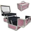 Make Up Koffer Meisjes En Dames Roze - Make Up Organizer Met Spiegel - Cosmetica Koffer - Beautycase Koffer