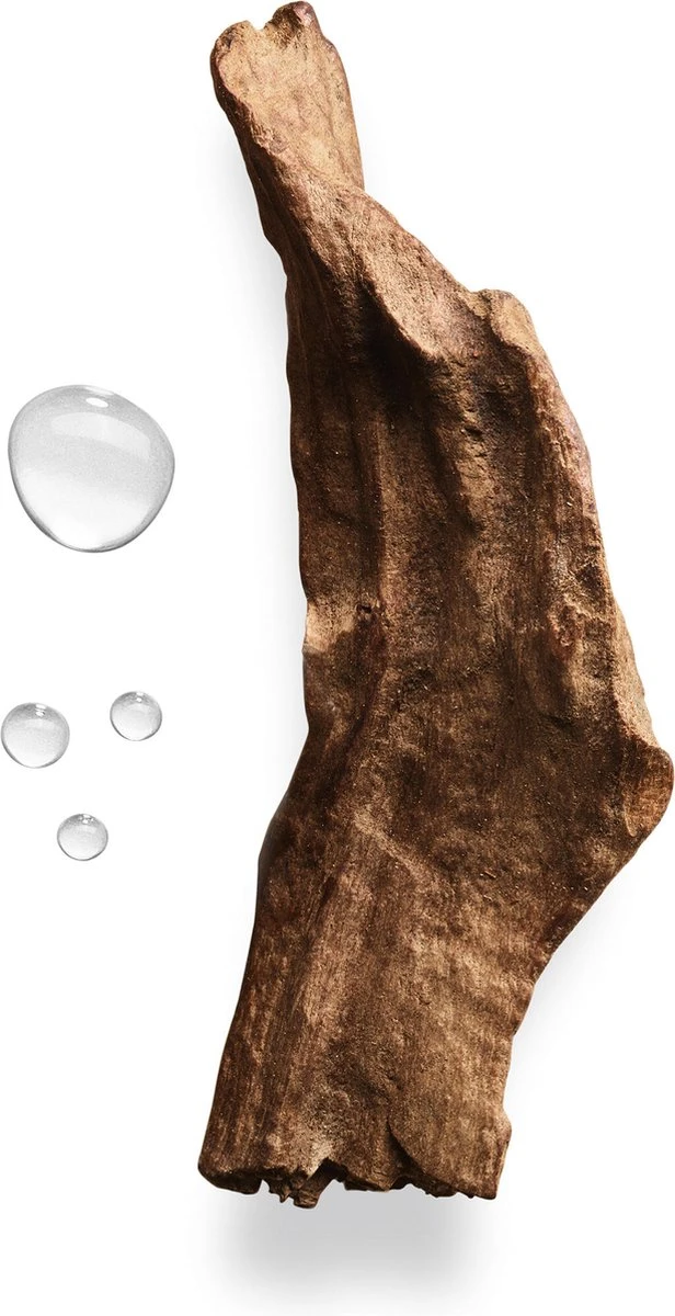 Giorgio Armani Acqua Di Gio Absolu 75ml - Eau De Parfum - Herenparfum - Afbeelding 15